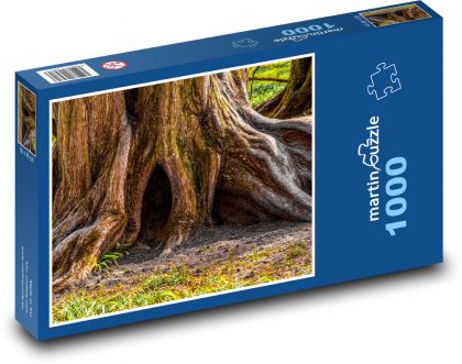 Starý strom - kmen, kůra - Puzzle 1000 dílků, rozměr 60x46 cm