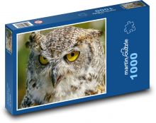 Sova - dravý vták, zviera Puzzle 1000 dielikov - 60 x 46 cm 