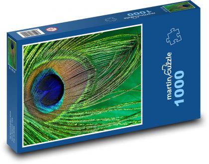Pávie perie - páv, vták - Puzzle 1000 dielikov, rozmer 60x46 cm