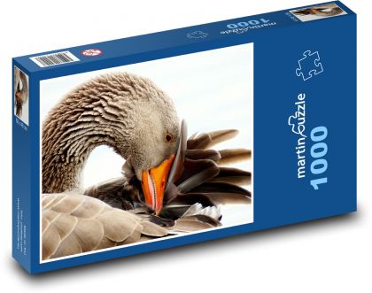 Wild goose - water bird, animal - Puzzle 1000 pieces, size 60x46 cm 