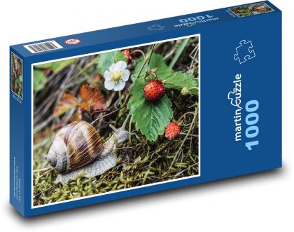 Hlemýžď - jahody, les  - Puzzle 1000 dílků, rozměr 60x46 cm
