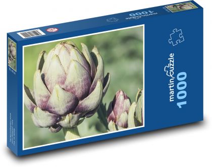 Artyčoky - zelenina, jídlo - Puzzle 1000 dílků, rozměr 60x46 cm