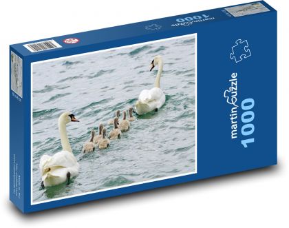 Swan rodina - vodné vtáctvo, kurčatá - Puzzle 1000 dielikov, rozmer 60x46 cm