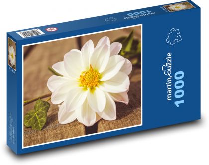 Jiřina - zahradní květina, květ - Puzzle 1000 dílků, rozměr 60x46 cm