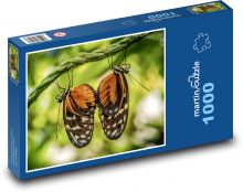 Motýli - hmyz, párování Puzzle 1000 - 60x46 cm