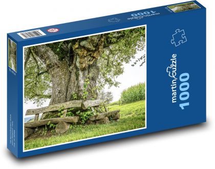 Old tree - bench, trunk - Puzzle 1000 pieces, size 60x46 cm 