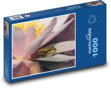 Žába - leknín, voda  Puzzle 1000 - 60x46 cm