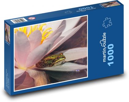 Żaba - lilia wodna, woda - Puzzle 1000 elementów, rozmiar 60x46 cm