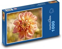 Jiřina - flower, garden Puzzle 1000 pieces - 60 x 46 cm 