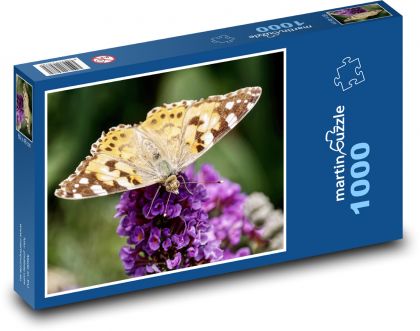 Motýl - léto, hmyz - Puzzle 1000 dílků, rozměr 60x46 cm