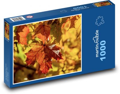 Javor - farebné listy, jeseň - Puzzle 1000 dielikov, rozmer 60x46 cm