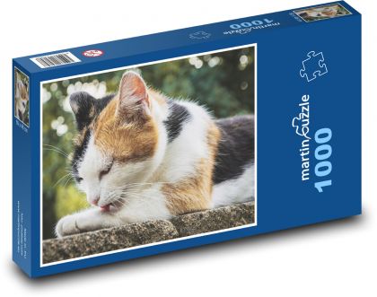 Domácí kočička - mazlíček, kotě - puzzle 1000 dílků