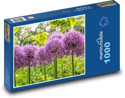 Okrasná cibule - fialový květ, rostlina - Puzzle 1000 dílků, rozměr 60x46 cm