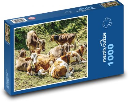 Stádo krav - dobytek, pastvina  - Puzzle 1000 dílků, rozměr 60x46 cm