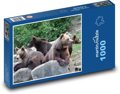 Medvědi v zoo - zvířata, příroda  - Puzzle 1000 dílků, rozměr 60x46 cm