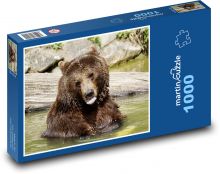 Medvěd - savec, zvíře Puzzle 1000 - 60x46 cm