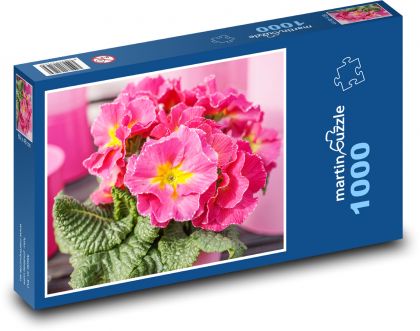 Růžový petrklíč - květina, jaro - Puzzle 1000 dílků, rozměr 60x46 cm