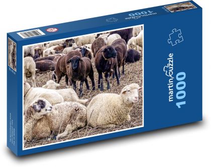 Stádo ovcí - zvířata, dobytek - Puzzle 1000 dílků, rozměr 60x46 cm