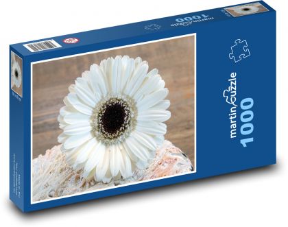 Bílá gerbera - květina, zahrada - Puzzle 1000 dílků, rozměr 60x46 cm