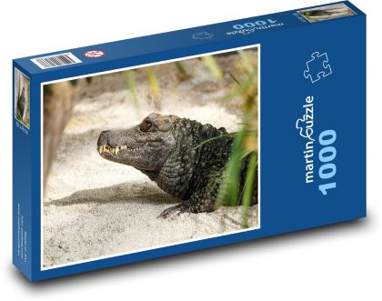 Krokodýl - plaz, zvíře - Puzzle 1000 dílků, rozměr 60x46 cm