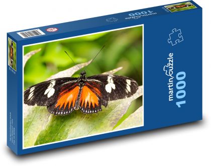 Motýľ - exotický hmyz, krídla - Puzzle 1000 dielikov, rozmer 60x46 cm