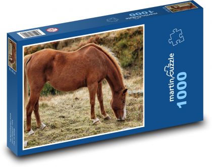 Brązowy koń - zwierzę, natura - Puzzle 1000 elementów, rozmiar 60x46 cm