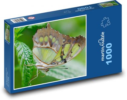 Exotický motýl - hmyz, list - Puzzle 1000 dílků, rozměr 60x46 cm