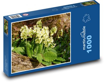 Petrklíč - yellow flowers, flower - Puzzle 1000 pieces, size 60x46 cm 