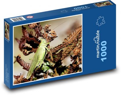 Zelené saranče - hmyz, rostlina - Puzzle 1000 dílků, rozměr 60x46 cm