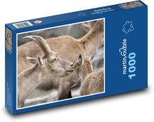 Kozoroh - mládě, matka Puzzle 1000 dílků - 60 x 46 cm