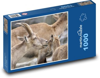 Kozoroh - mládě, matka - Puzzle 1000 dílků, rozměr 60x46 cm