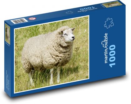 Ovce na lúke - zviera, príroda - Puzzle 1000 dielikov, rozmer 60x46 cm