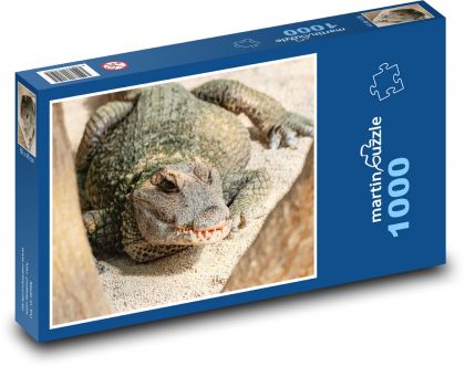 Krokodýl - nebezpečný plaz - Puzzle 1000 dílků, rozměr 60x46 cm