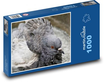Taube - Vogel, Feder - Puzzle - 1000 Teile