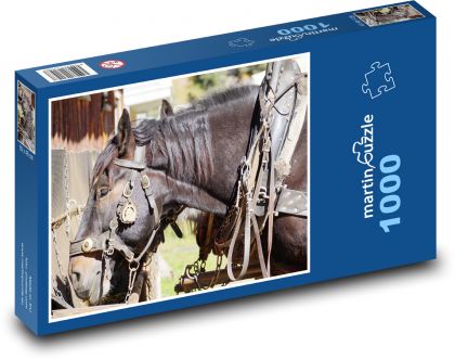 Koňská hlava - zvíře, kůň - Puzzle 1000 dílků, rozměr 60x46 cm