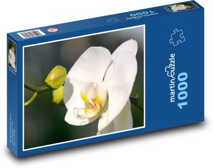 Weiße Orchidee - Blume, Pflanze - Puzzle - 1000 Teile