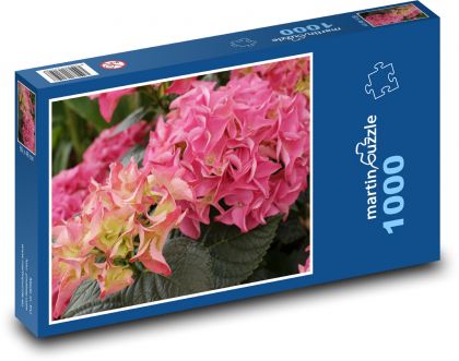 Flower hydrangea - ornamental shrub, plant - Puzzle 1000 pieces, size 60x46 cm 