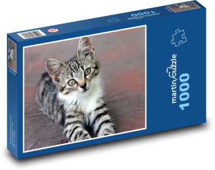 Kotě - mladá kočka, zvíře - Puzzle 1000 dílků, rozměr 60x46 cm
