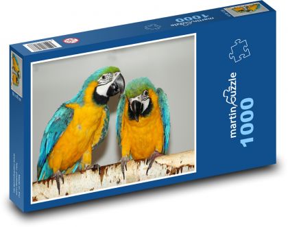 Papuga arabska - ptaki, zwierzęta - Puzzle 1000 elementów, rozmiar 60x46 cm