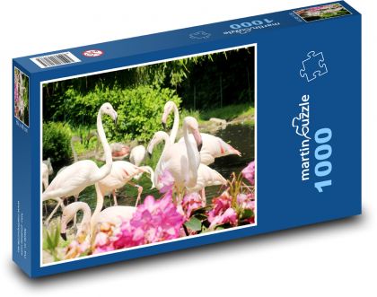 Plameniaky - vtáky, zvieratá - Puzzle 1000 dielikov, rozmer 60x46 cm
