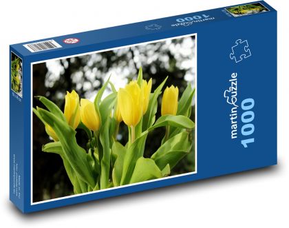 Žluté tulipány - květiny, jaro - Puzzle 1000 dílků, rozměr 60x46 cm