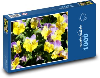 Fialové macešky - barevné květiny, jaro - Puzzle 1000 dílků, rozměr 60x46 cm
