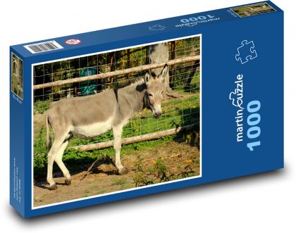Osel - zvíře, savec - puzzle 1000 dílků