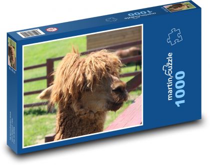 Lama - zvíře, zoo - Puzzle 1000 dílků, rozměr 60x46 cm