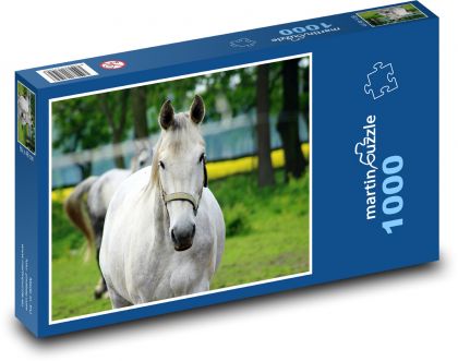 Šedý kôň - zviera, farma - Puzzle 1000 dielikov, rozmer 60x46 cm