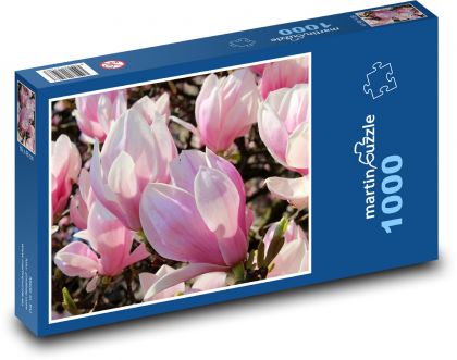 Magnolia - różowe kwiaty, drzewo - Puzzle 1000 elementów, rozmiar 60x46 cm