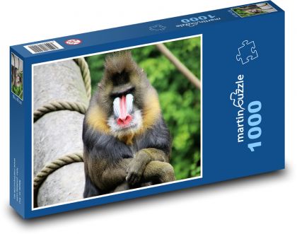 Baboon - monkey, animal - Puzzle 1000 pieces, size 60x46 cm 