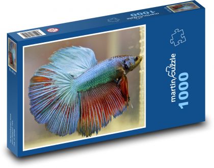 Betta - ryby, akvárium - Puzzle 1000 dielikov, rozmer 60x46 cm