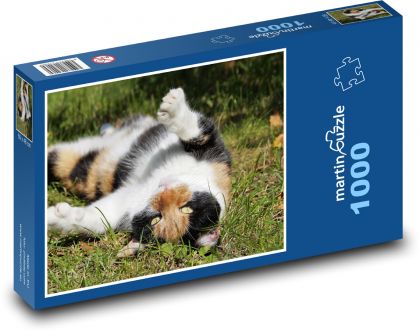 Kočka - mazlíček, zvíře - Puzzle 1000 dílků, rozměr 60x46 cm