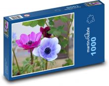 Anemon - kwiat, ogród Puzzle 1000 elementów - 60x46 cm